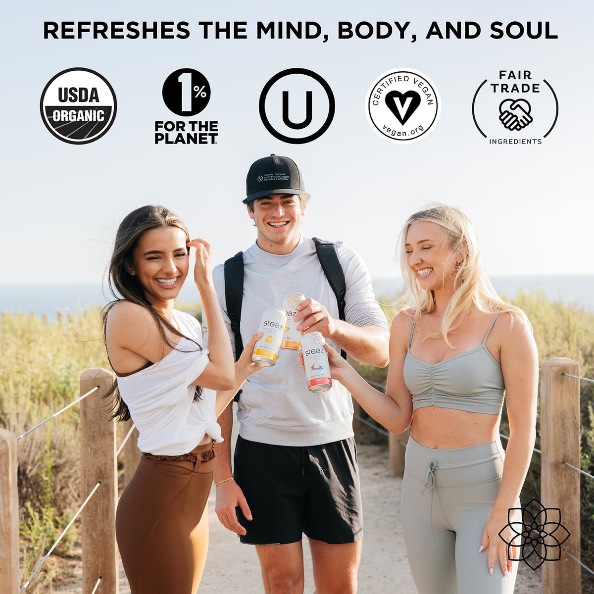 Steaz - Organic Green Tea - Superfruit (12 Pack) - Antioxidant Brew - 65Mg Natural Caffeine, 90 Calories, Vitamin C - Cane Sugar Sweetened Iced Tea - Vegan, Fair Trade - 12 Cans, 16 Fl Oz (473Ml)