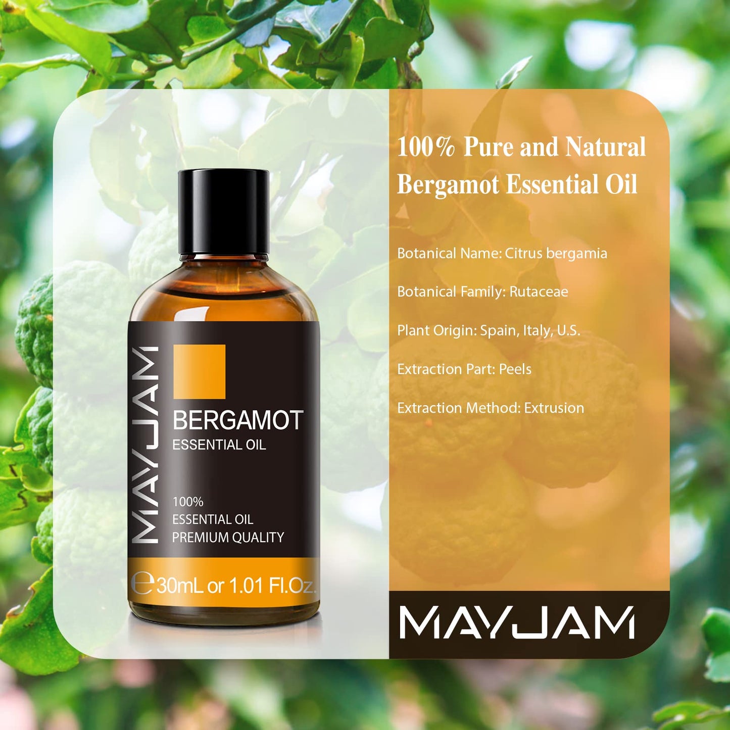 Bergamot Essential Oil 30Ml/1.01Fl.Oz, Mayjam Premium Bergamot Oils For Diffuser, Soap Making, Candle Making, Long Lasting Scent