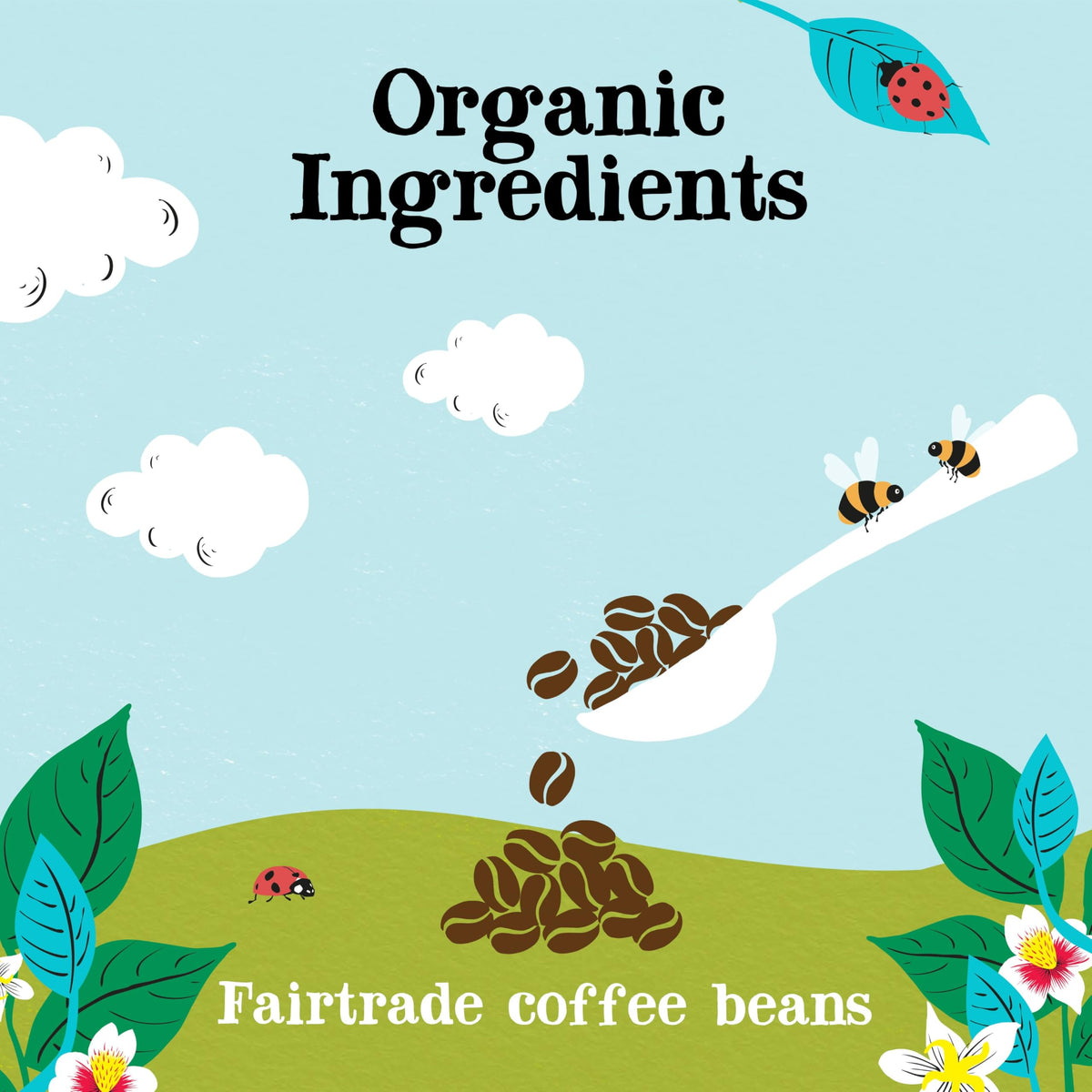 Clipper Coffee: Organic Latin American Decaf Instant Coffee - Medium Roast Coffee, Freeze Dried & Ethically Sourced - 6 Pack, 10