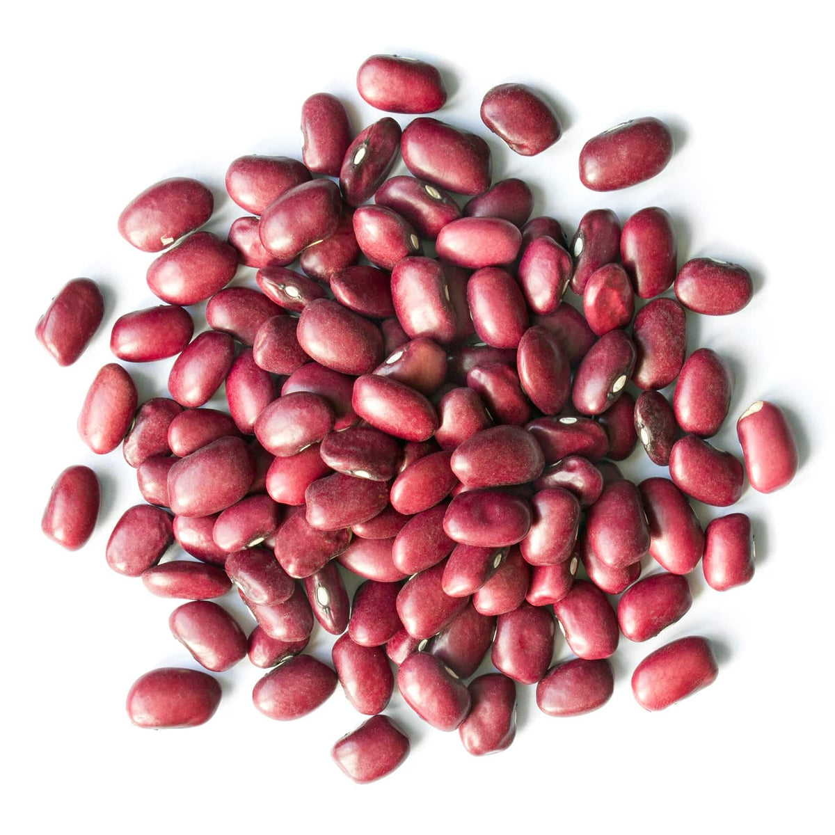 Food to Live - Adzuki Beans, 3 Pounds Whole Dried Azuki Beans (Red Mung Beans), Raw, Vegan, Kosher, Sproutable, Bulk. Rich in Mi