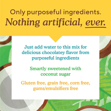 Simple Mills Cocoa Pancake And Waffle Mix, Just Add Water, Gluten Free, Paleo Friendly, Breakfast, 10 Oz (1 Pack)