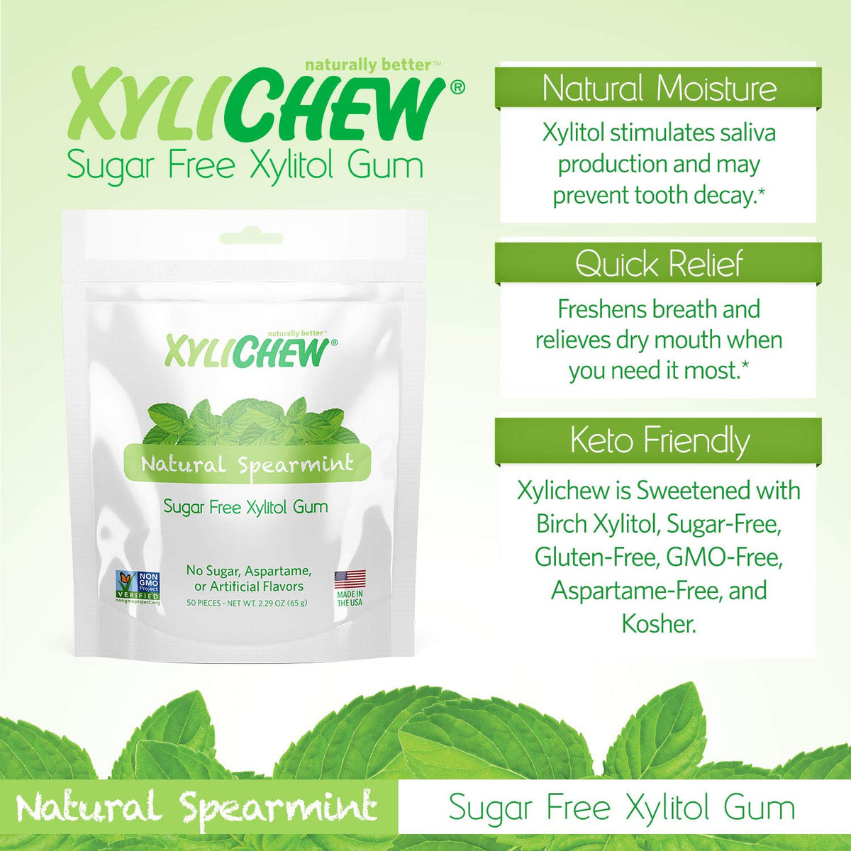 Xylichew Chewing Gum - 100% Xylitol, Non-GMO, Sugar-Free, Spearmint - 288 Count
