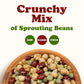 Food To Live - Crunchy Mix Of Sprouting Bean Seeds, 5 Pounds - Green Peas, Adzuki, Lentils, Garbanzo, Kosher, Raw