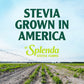 Splenda Stevia Zero Calorie Sweetener, Sugar Substitute Packets, 100 Count (Pack Of 1)
