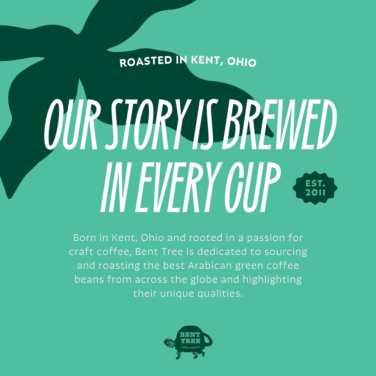 Bent Tree Coffee Roasters Organic Coffee, 12oz (Black Squirrel Blend), Whole Bean Coffee, Dark Roast, USDA Organic, Medium Body,