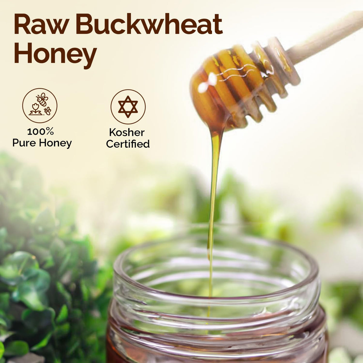 Oneroot Raw Buckwheat Honey - 3Kg / 6.6Lb, Unheated, Unfiltered And Unprocessed Natural Dark Honey, Rich In Antioxidants Pure Bu
