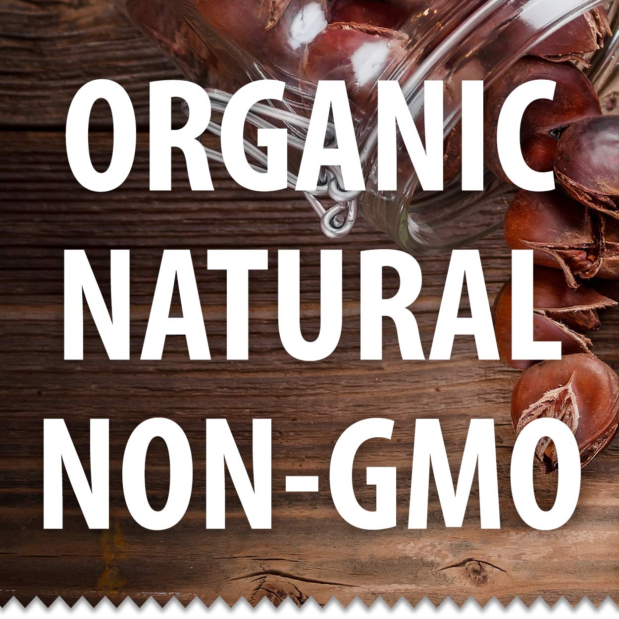 Galil Organic Roasted Chestnuts Pack of 12 Shelled & Ready to Eat - Gluten Free, Vegan, Organic, Non-GMO, Kosher Snacks - Great