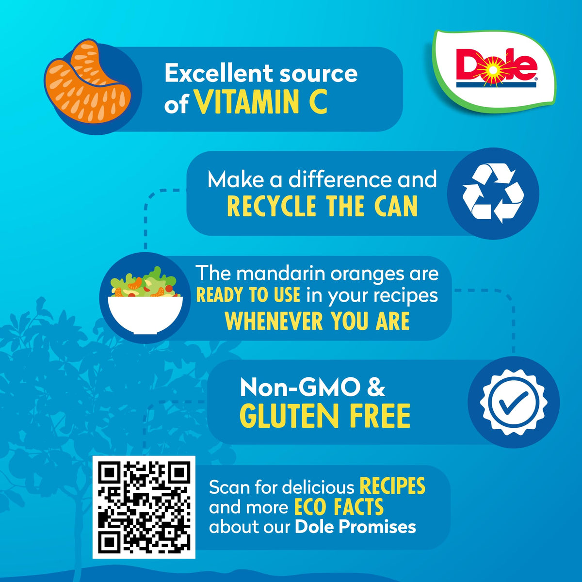 Dole Mandarin Oranges In 100% Fruit Juice  23.5 Oz Resealable Jar