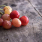 Organic Rainier Cherries, 8 Pounds - California Sun-Dried Cherries, Non-GMO, Pitted, Unsweetened, Unsulfured, Non-Infused, Non-O