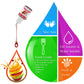 Food Flavoring Oil - 24 Pack Concentrated Flavor Oil For Baking, Cooking, Cosmetics - Liquid Lip Gloss Flavoring Oil Extract For