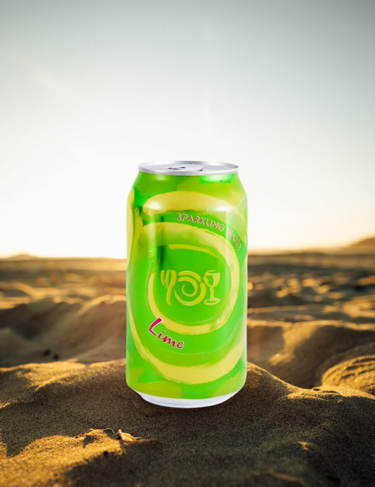 Wegmans Sparkling Water Lime (12 Cans Pack) | 0 Calories | 0 Sugar | 0 Sodium | Vegan