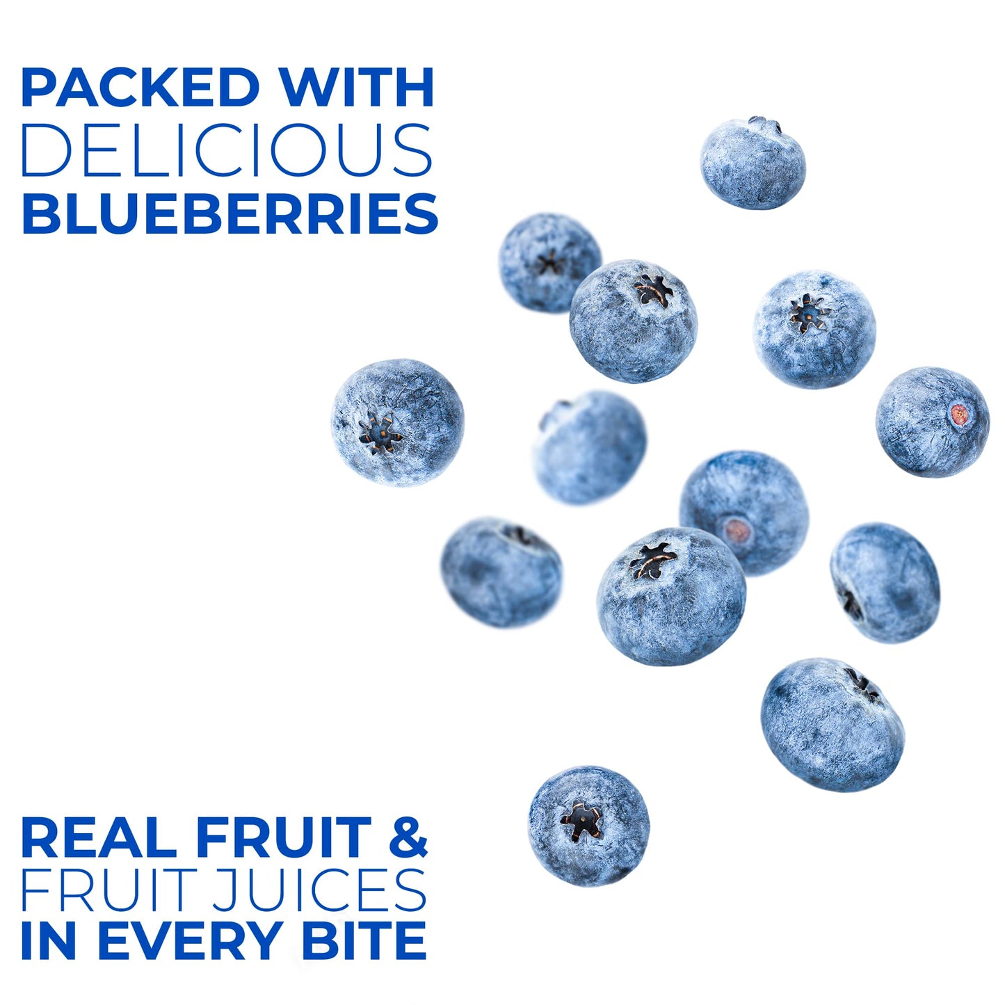 Betty Lous Fruit Bars, Blueberry Pack of 12, Gluten Free, Vegan, Non GMO, Deliciously Healthy Snacks Made with All Natural Frui
