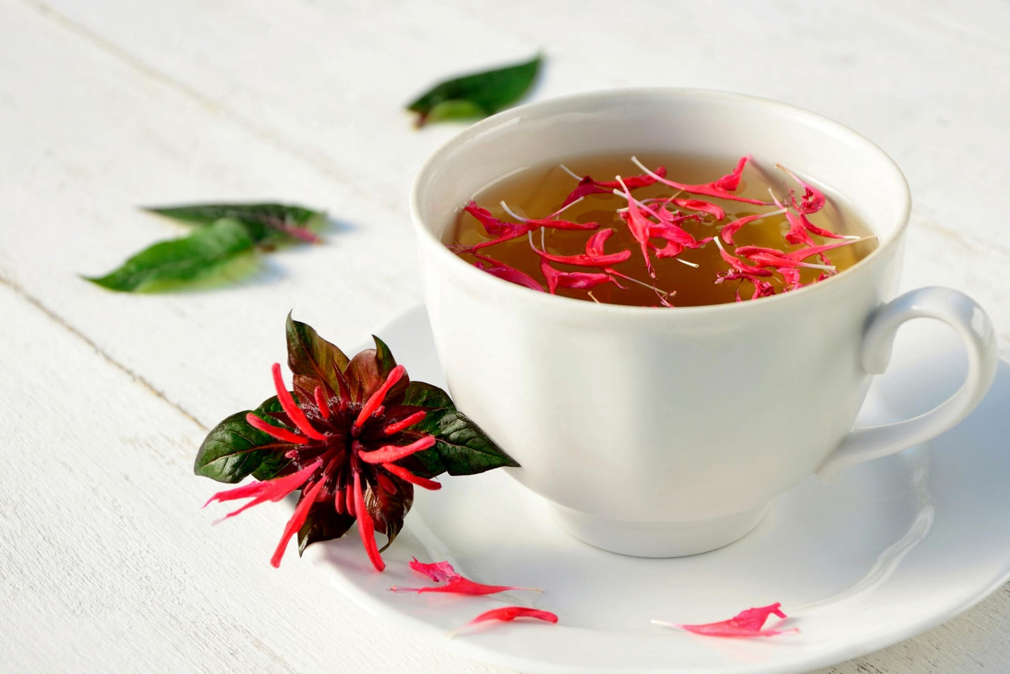 Naturegrail Wild Bergamot Petals - Edible Dried Beebalm - 0.1oz/3g - Rare Tea & Salad Ingredient