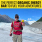 Kates Real Food Organic Granola Bars - Lemon Coconut (2.2 oz  Pack of 12) - Organic Energy Bars Made with Gluten Free Oats - Non GMO  Soy Free  Whole Grains  and All Natural - Healthy Snacks