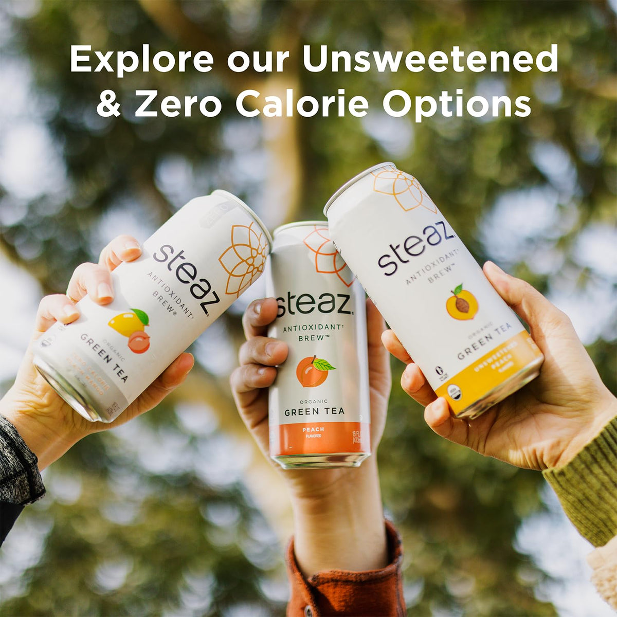 Steaz - Organic Green Tea - Superfruit (12 Pack) - Antioxidant Brew - 65Mg Natural Caffeine, 90 Calories, Vitamin C - Cane Sugar Sweetened Iced Tea - Vegan, Fair Trade - 12 Cans, 16 Fl Oz (473Ml)