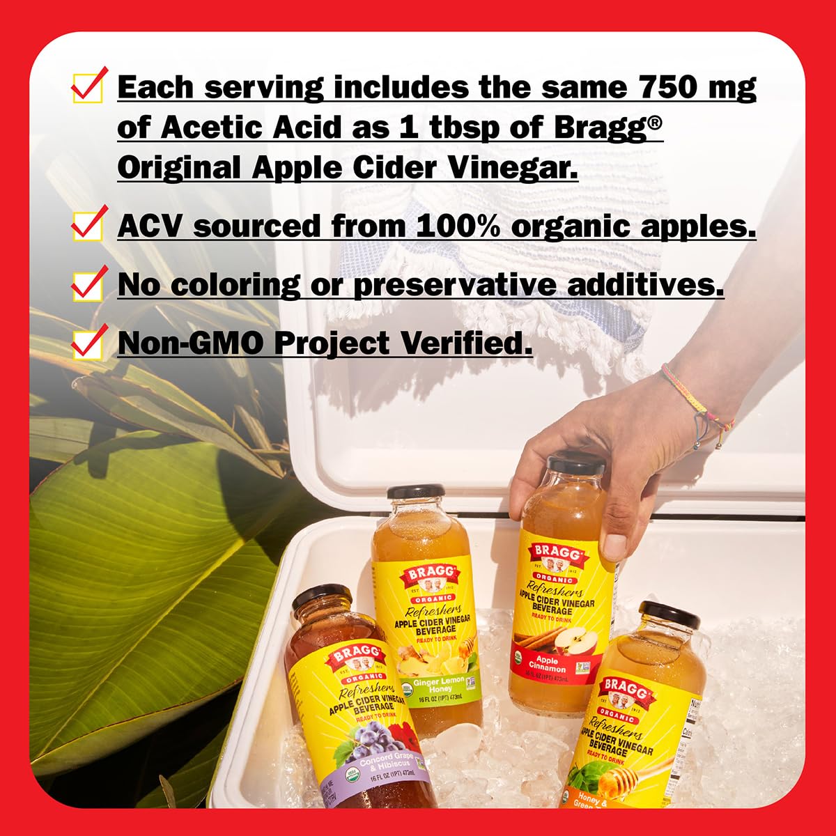 Bragg Organic Apple Cider Vinegar Beverage, Apple Cinnamon, 16 Fl Oz, 2 Pack