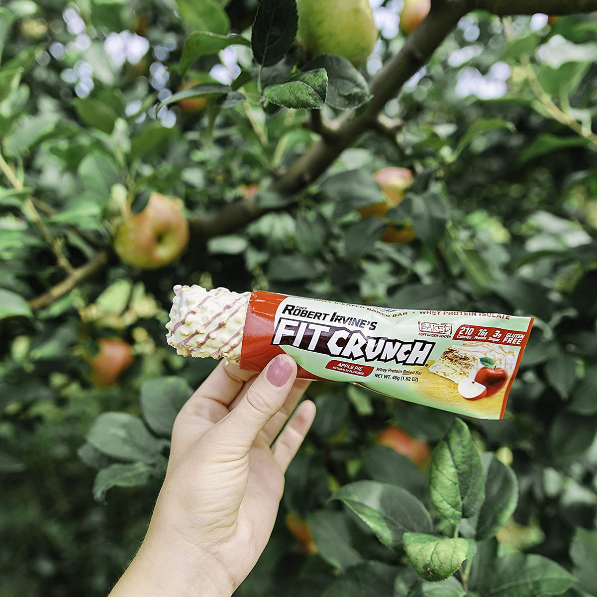 Fitcrunch Snack Size Protein Bars, 6-Layer Baked Bar, 3G Of Sugar & Soft Cake Core (18 Bars, Apple Pie)