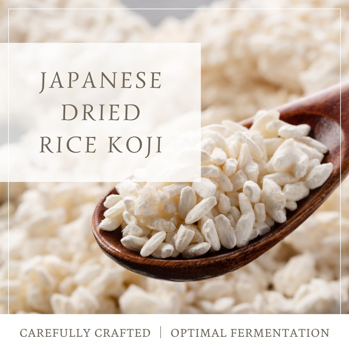 Premium Dried Rice Koji 7Oz (200G), Made In Japan, Shio Koji, Miso, Soy Sauce, Tamari, White Koji, Molted Rice, Oryzae