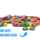 Chocolate Covered Sunflower Seeds - Multicolored Candy Coated Treats - Rainbow Sunny Seeds - Sweet and Crunchy Topping - 1 LB Re