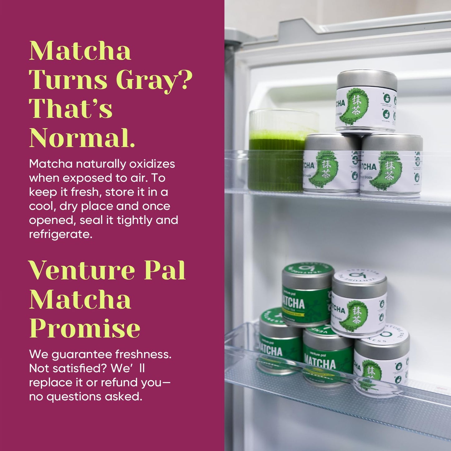 Venture Pal Matcha Powder VP205-R3
