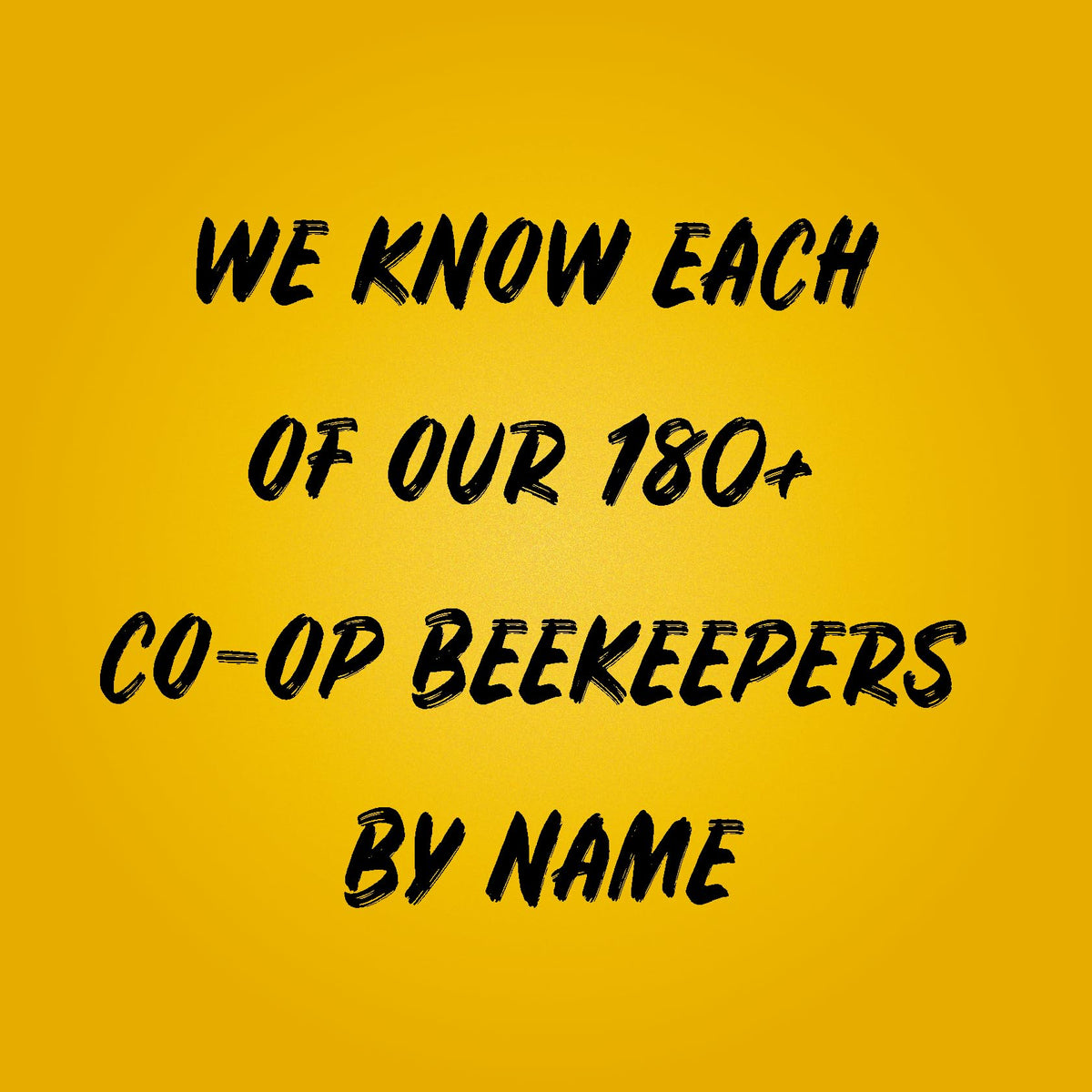 Sue Bee Honey Strained Unfiltered Beekeeper-Owned Co-op Honey 24 Oz