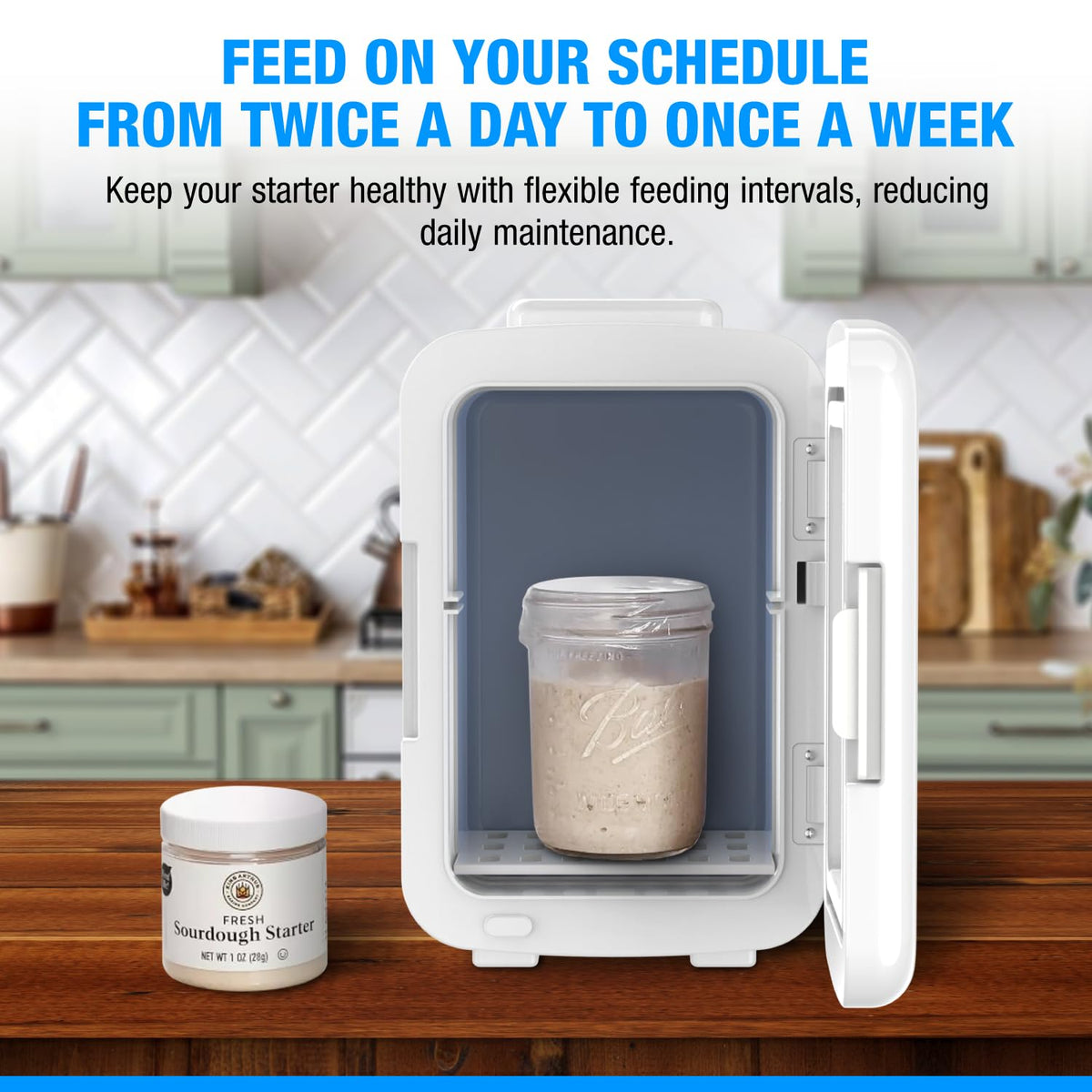Gearwiz Sourdough Starter Home with Temperature Control - Compact Fermentation Box with Heat & Cool Modes - Fits 1L Jar - Bread