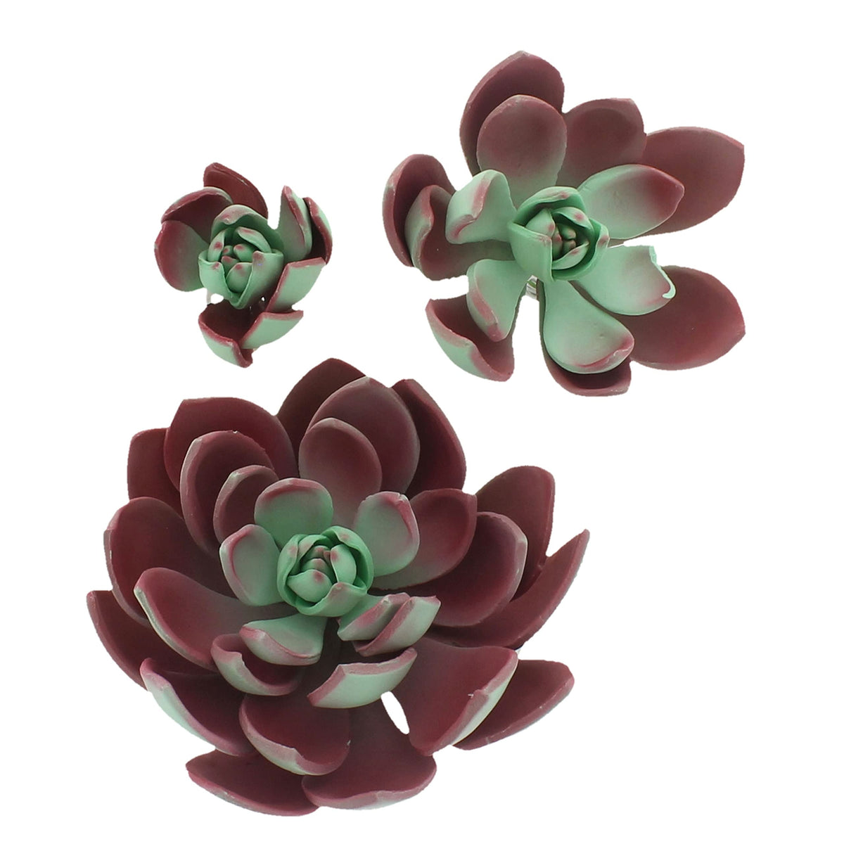 Global Sugar Art Succulent Romeo Sugar Cake Flowers, Assorted with Wire, 3 Count by Chef Alan Tetreault