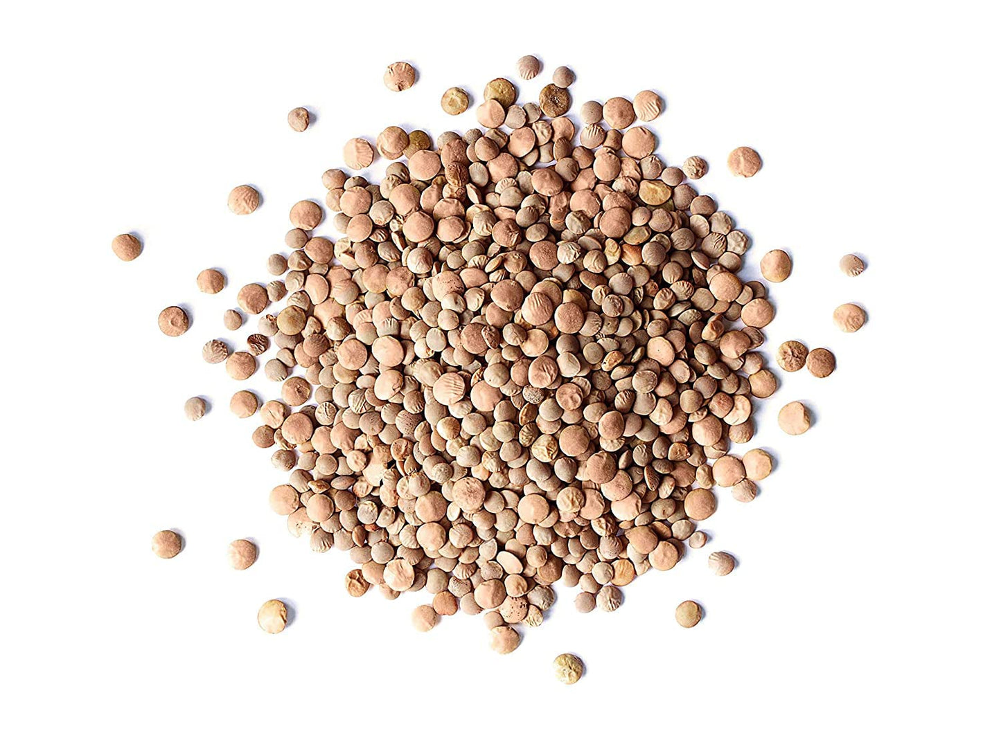 Food To Live - Whole Red Lentils, 10 Pounds - Dry Raw Lentils, Sproutable, Vegan, Kosher, Bulk. Quick-Cooking. Good Source Of Di