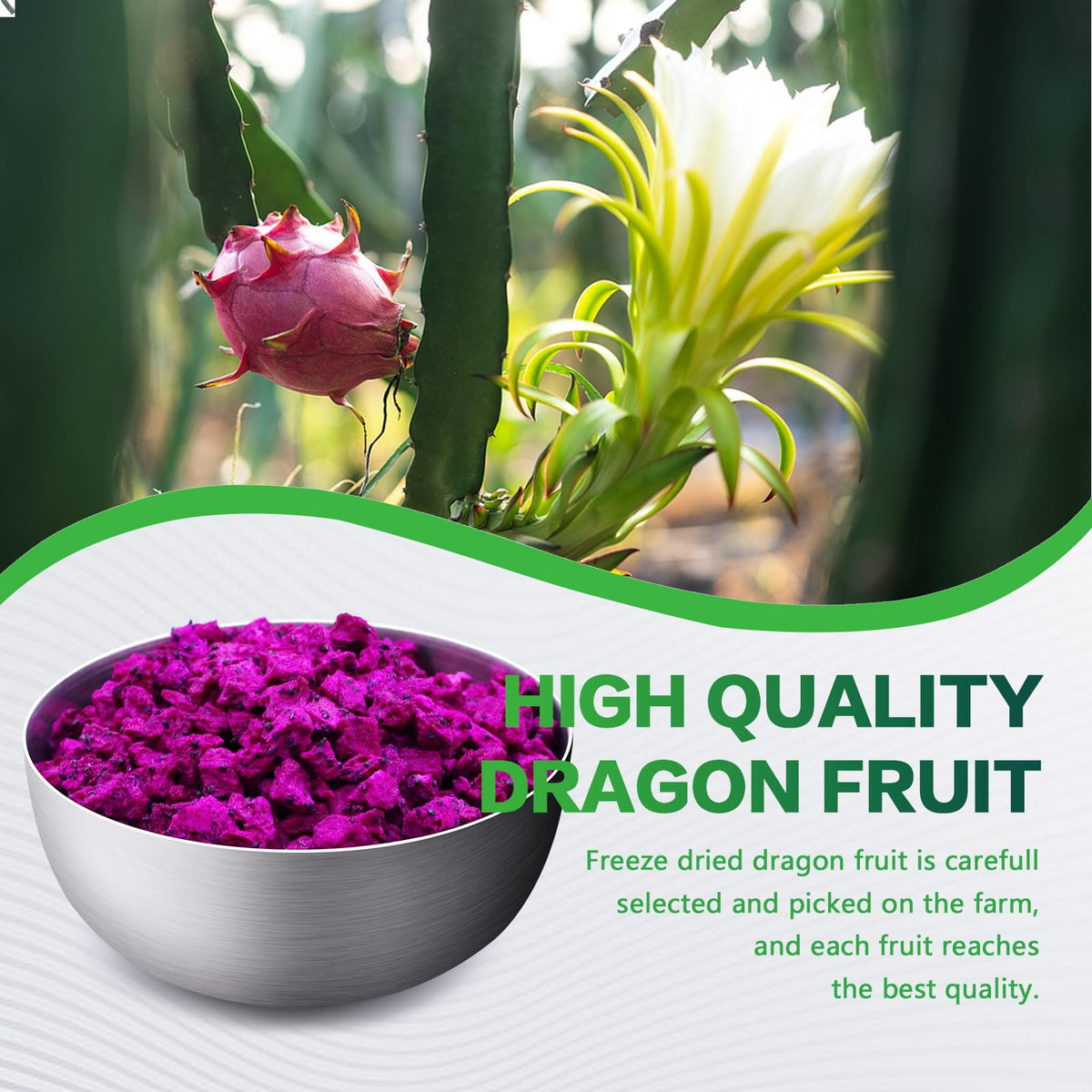 Freeze Dried Dragon Fruit, 6.53Oz/185G Freeze Dried Fruit, Frozen Dragon Fruit, Freeze Dried Dragon Fruit Cubes, No Added Sugars