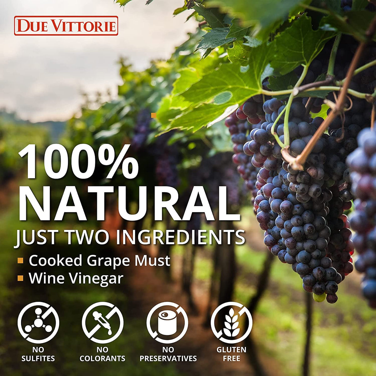 Due Vittorie Balsamic Vinegar, Barrel Aged, All-Natural, Extra Dense, 8.45 Fl Oz (250ml)
