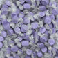 Gourmet Soft And Chewy Salt Water Taffy Candies - Individually Wrapped - Bulk Bags (Purple Grape, 5 Pound (Pack Of 1))
