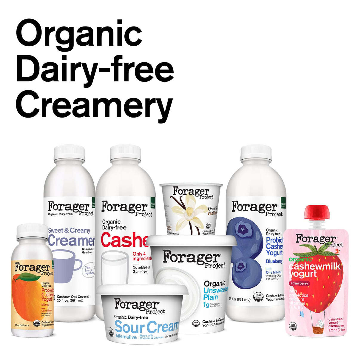 FORAGER PROJECT Organic Unsweetened Cashewmilk, 28 FZ