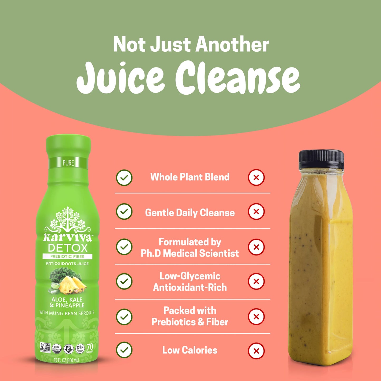Karviva Organic Juice Cleanse for Sugar Detox & Weight Control - Ancient Eastern Remedies for Healthy Digestion & Gentle Detox w