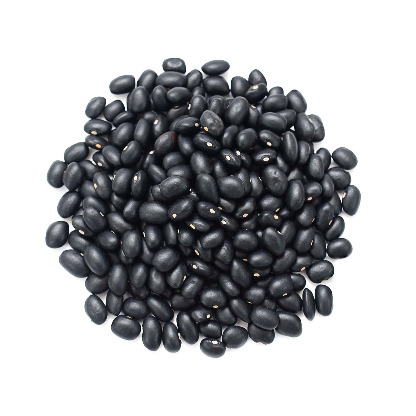 Food To Live - Black Turtle Beans, 5 Pounds Whole Dried Beans, Sproutable, Vegan, Kosher, Bulk. Low Sodium. Great Source Of Plant Based Protein, Fiber. Great For Bean Soup, Salads, Stews, Chili.