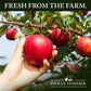Indian Summer Enhanced Chunky Applesauce Made From Us Apples And American Growers (Peach, 23 Ounces Each, Pack Of 2)