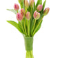 KaBloom Flowers - Mothers Day Collection - Bouquet of 10 Pink Tulips Without Vase - Gift for Birthday, Anniversary, Get Well, Thank You, Valentine, Mother’s Day Fresh Flowers