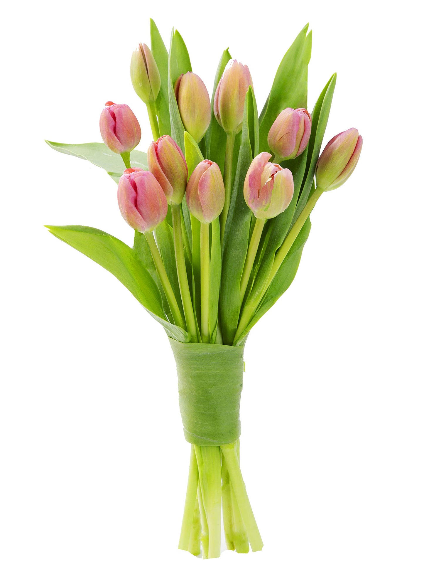 KaBloom Flowers - Mothers Day Collection - Bouquet of 10 Pink Tulips Without Vase - Gift for Birthday, Anniversary, Get Well, Thank You, Valentine, Mother’s Day Fresh Flowers