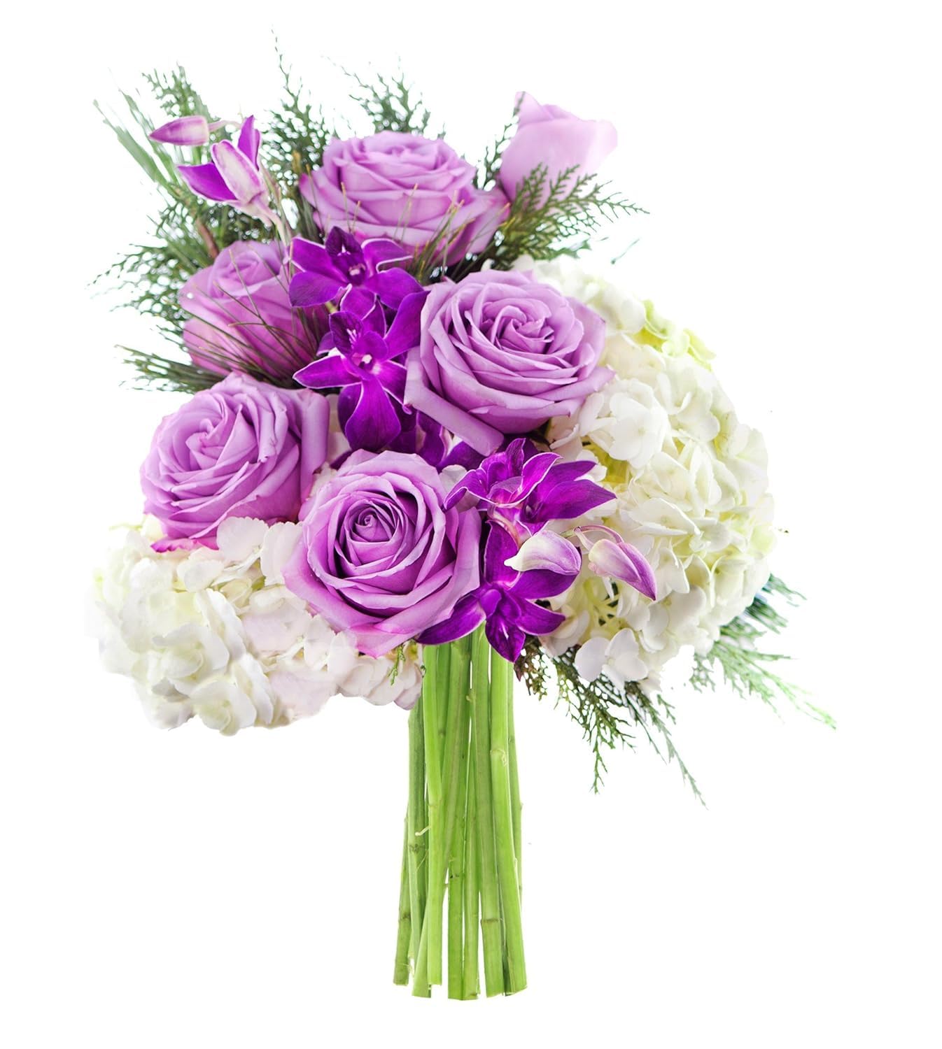 KaBloom Mothers Day Flowers - Purple Rose, White Hydrangea, Purple Orchid with Vase - Gift for Birthdays, Sympathy, Anniversaries