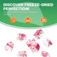 Freeze Dried Dragon Fruit, Freeze Dried Fruit, 150G/5.3Oz No Sugar Added, 100% Natural, Dri-Ed Dragon Fruit For Yogurt, Cereal,