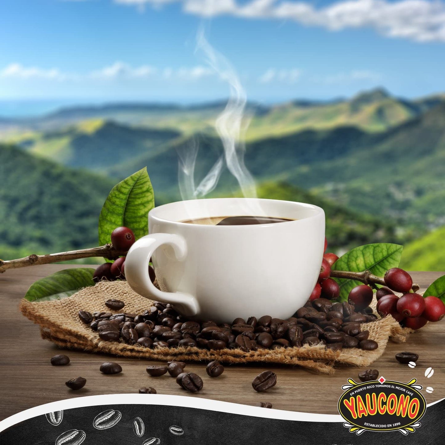 Yaucono Coffee, Arabica Ground Medium Roast Bagged, Puerto Rico, 14 Ounce (Pack of 6)