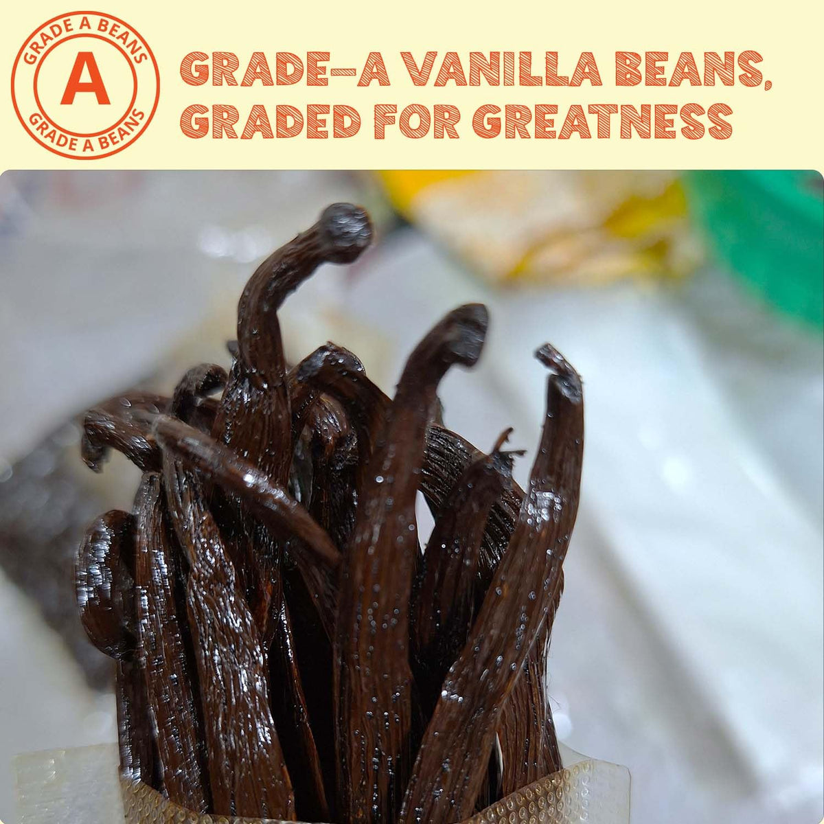Akshit Vanilla Beans - Grade A +, 4LB Pods for Baking & Cooking, Non-GMO, 6-8 Inches