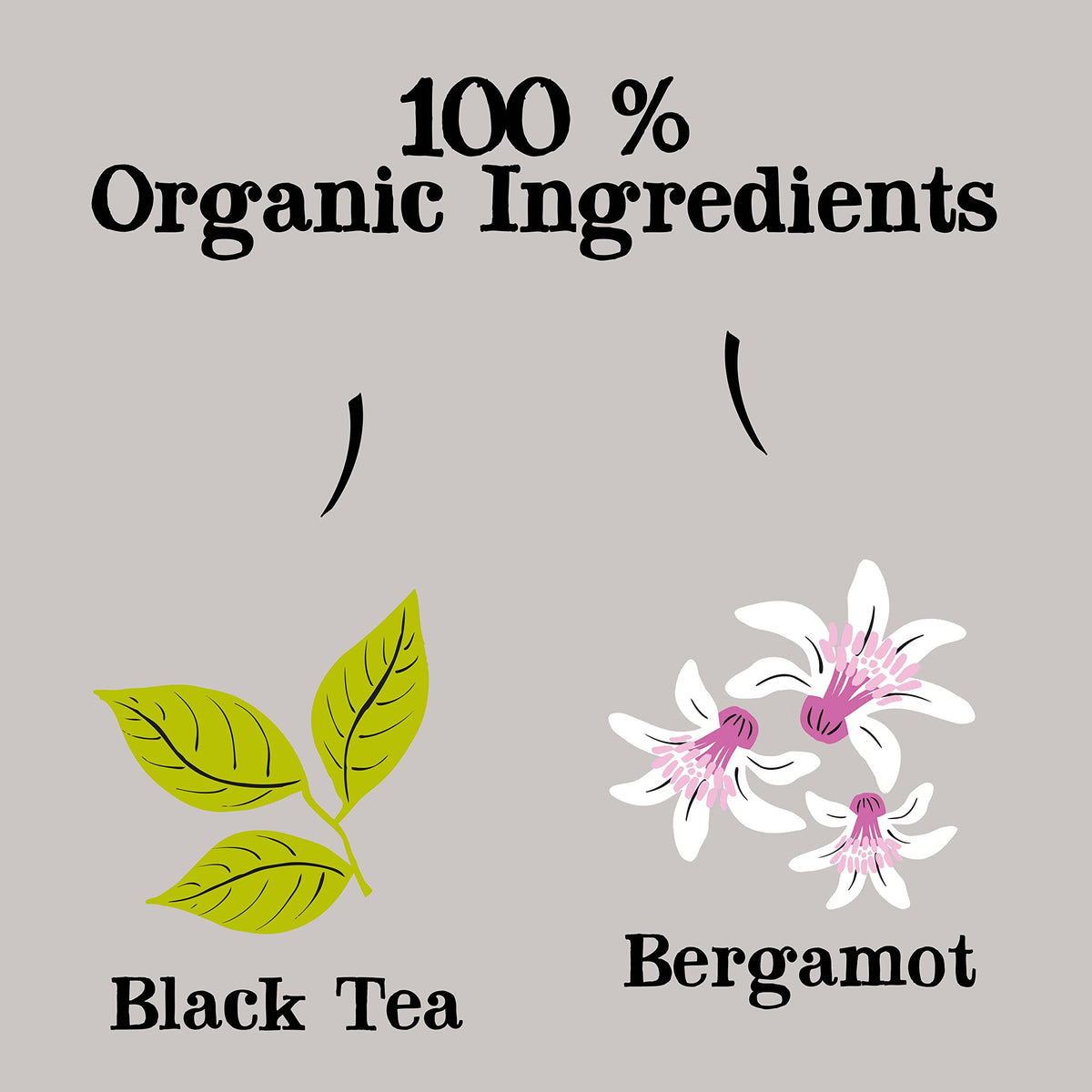 Clipper Tea, Earl Grey, Organic Tea With Citrus Begamot, Plant Based, Black Tea, Caffeinated British Tea, 6 Pack, 120 Unbleached