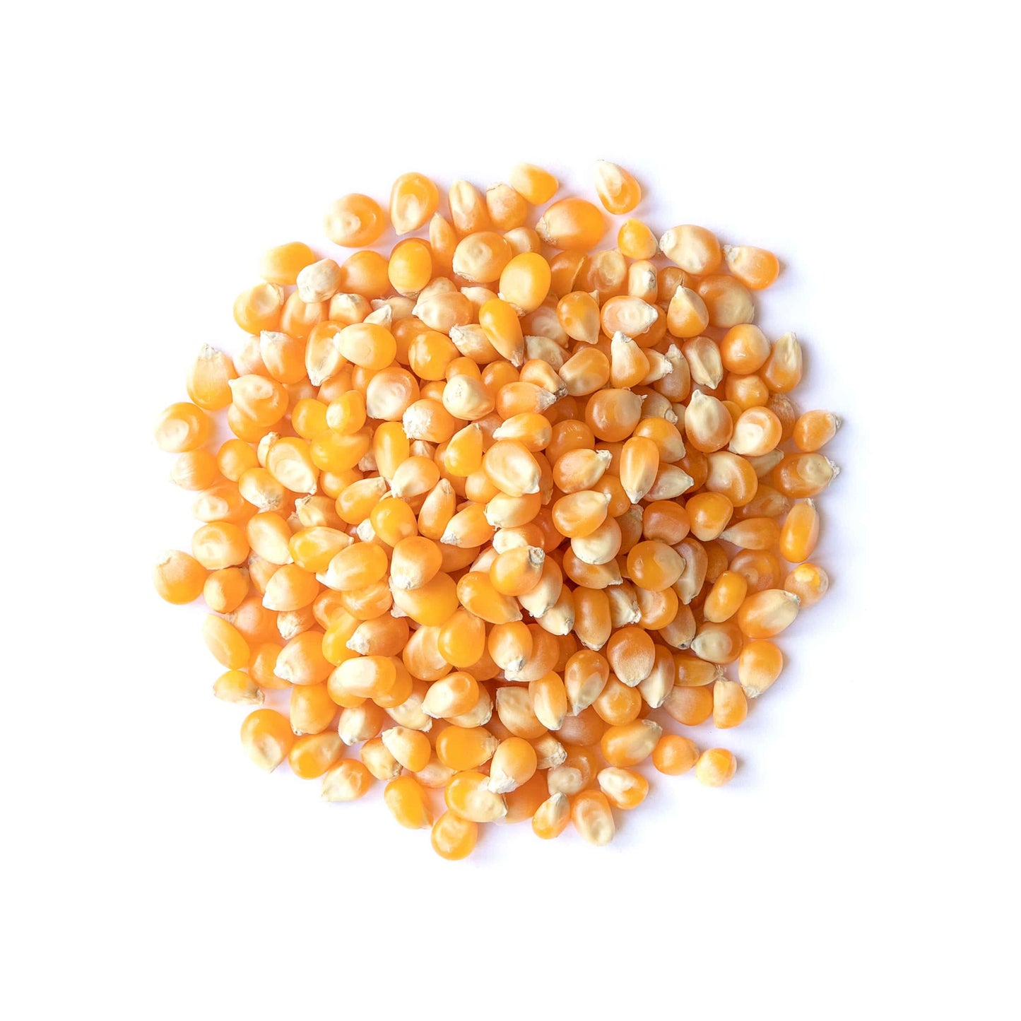Food to Live Organic Yellow Popcorn - Non-GMO, 100% Whole Grain, 32 Ounce, Bulk Snack, No Additives, Theater-Quality