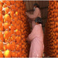 Dried Persimmons, 400g Persimmon, Persimmons Fruit Fresh,Persimmon Fruit, No Sugar Added, Used For Snacking & Baking (800g)