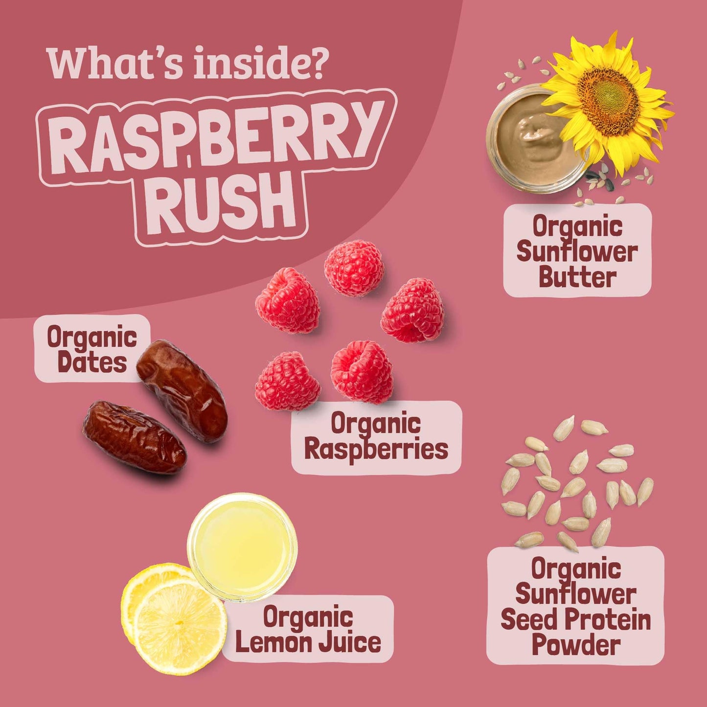 Skout Organic Raspberry Rush Kids Snack Bars (18 Pack) | Organic Kids Snack Bars | Plant-Based Nutrition, No Refined Sugar | Veg