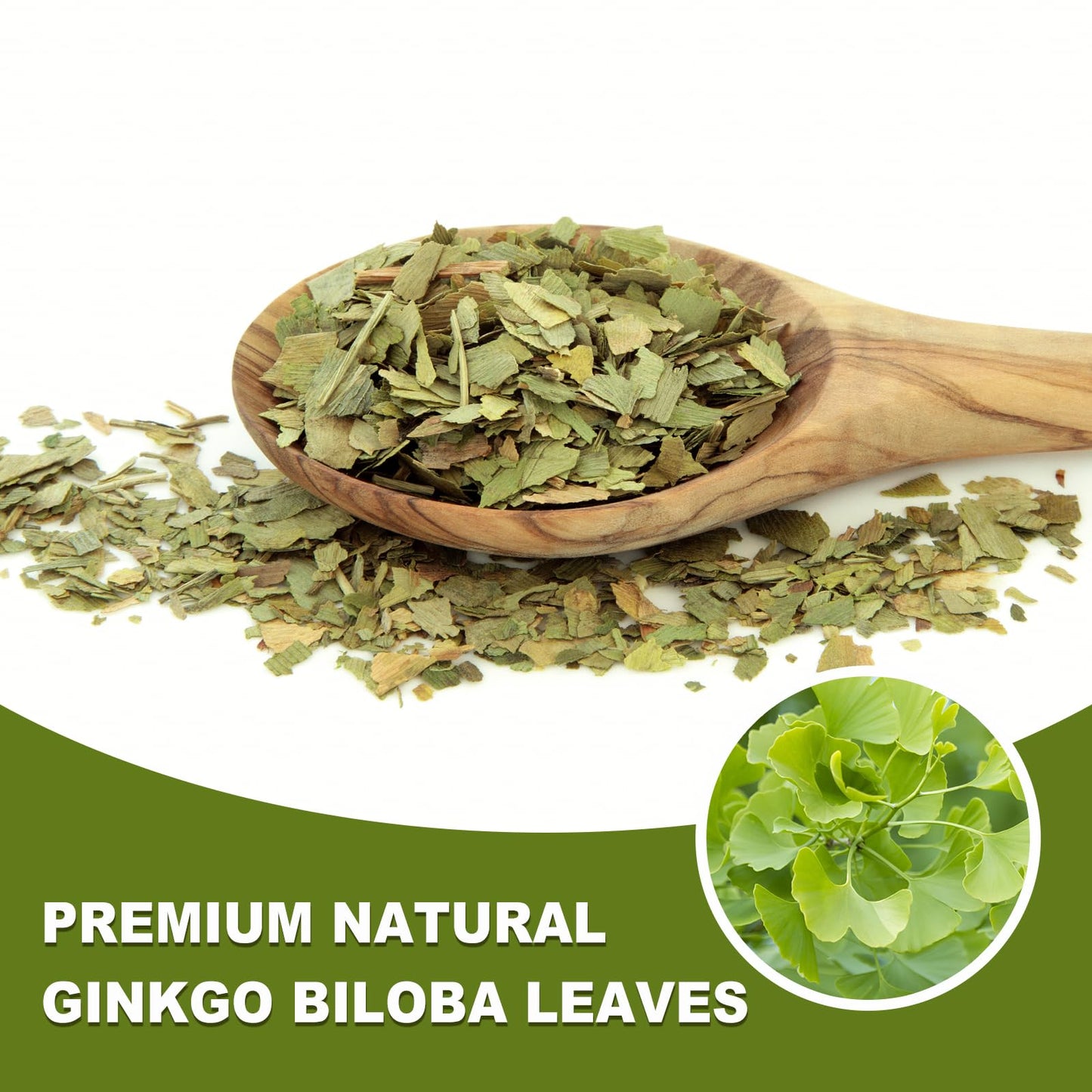 TEARELAE Ginkgo Biloba Tea Bags - 100% Pure Leaves, Non-GMO, Caffeine-free - 50 Count