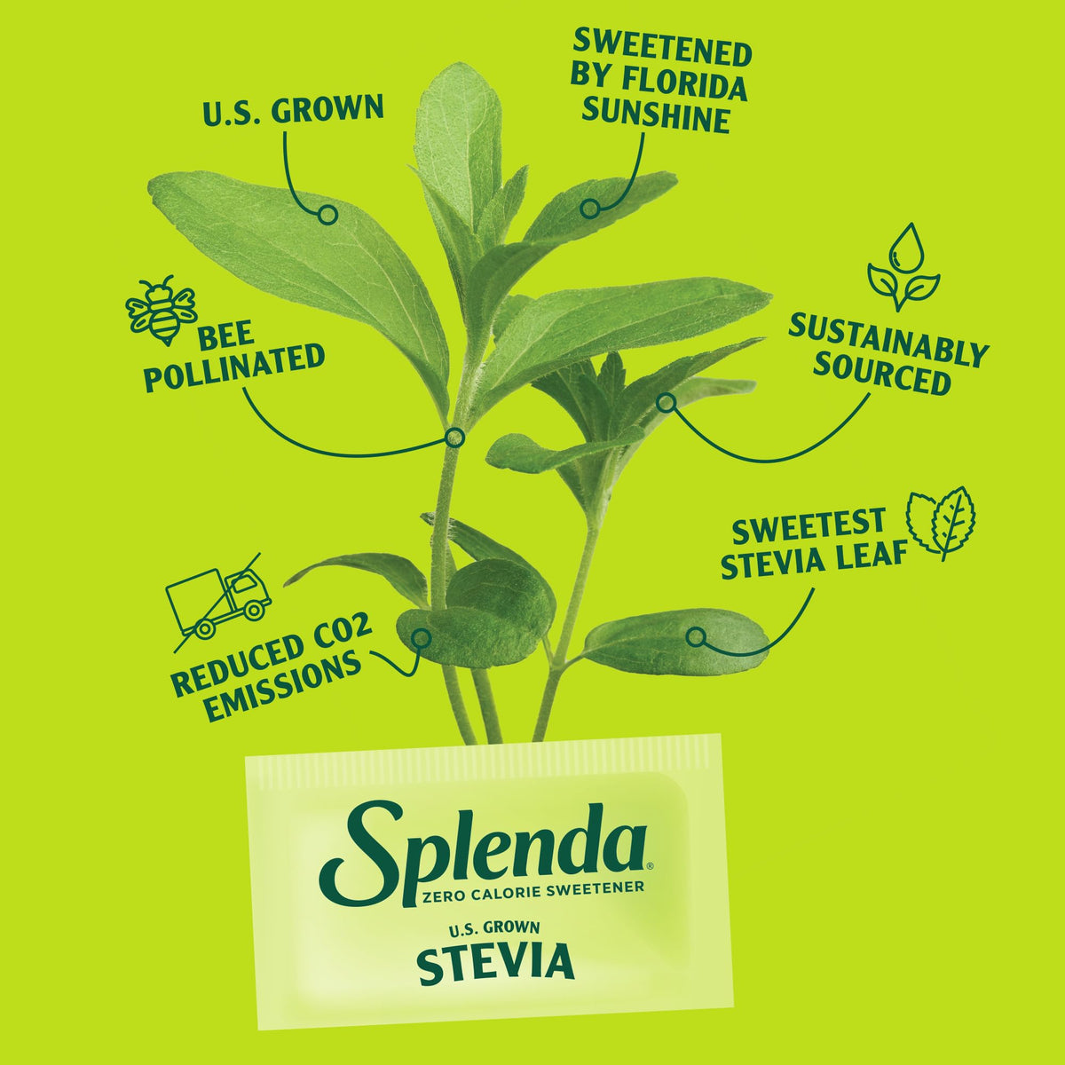 Splenda Stevia Zero Calorie Sweetener, Sugar Substitute Packets, 100 Count (Pack Of 1)