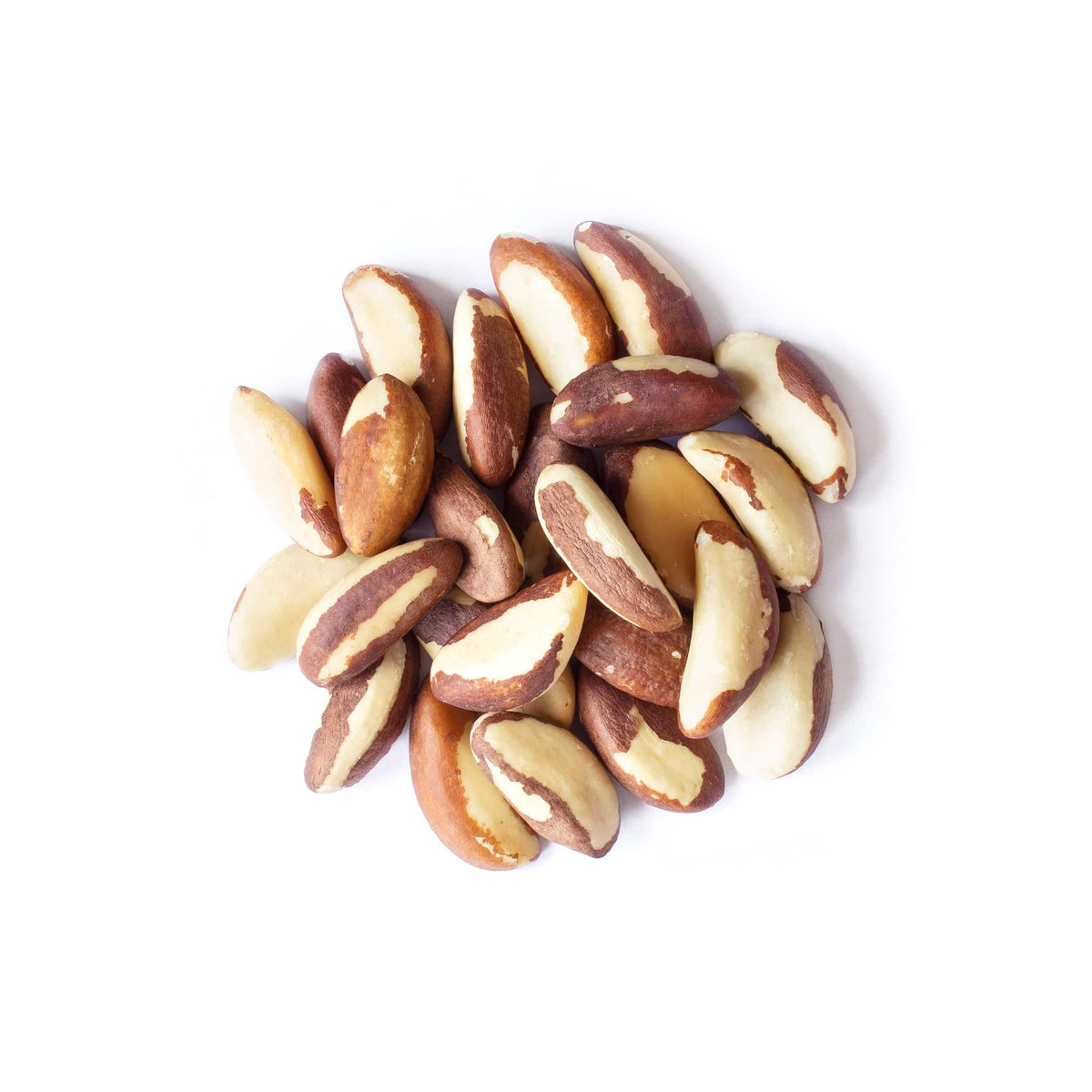 Food to Live Organic Brazil Nuts, 8 Ounces – Non-GMO, Raw, Unsalted, Kosher, Vegan, Keto, Paleo, Rich in Selenium
