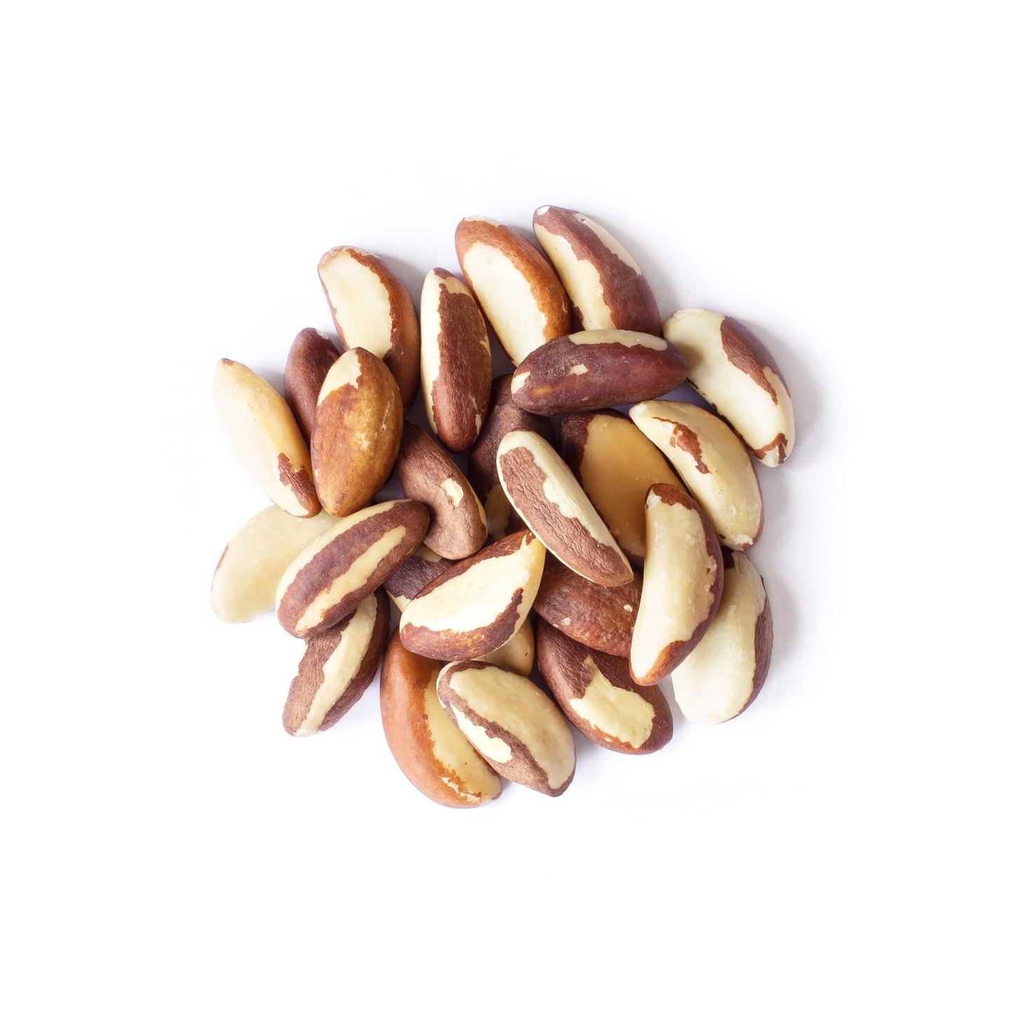 Food to Live Organic Brazil Nuts, Raw, Unsalted, 8 Pound Bulk, Non-GMO, Vegan, Keto Friendly, Low Sodium, Good Source of Selenium