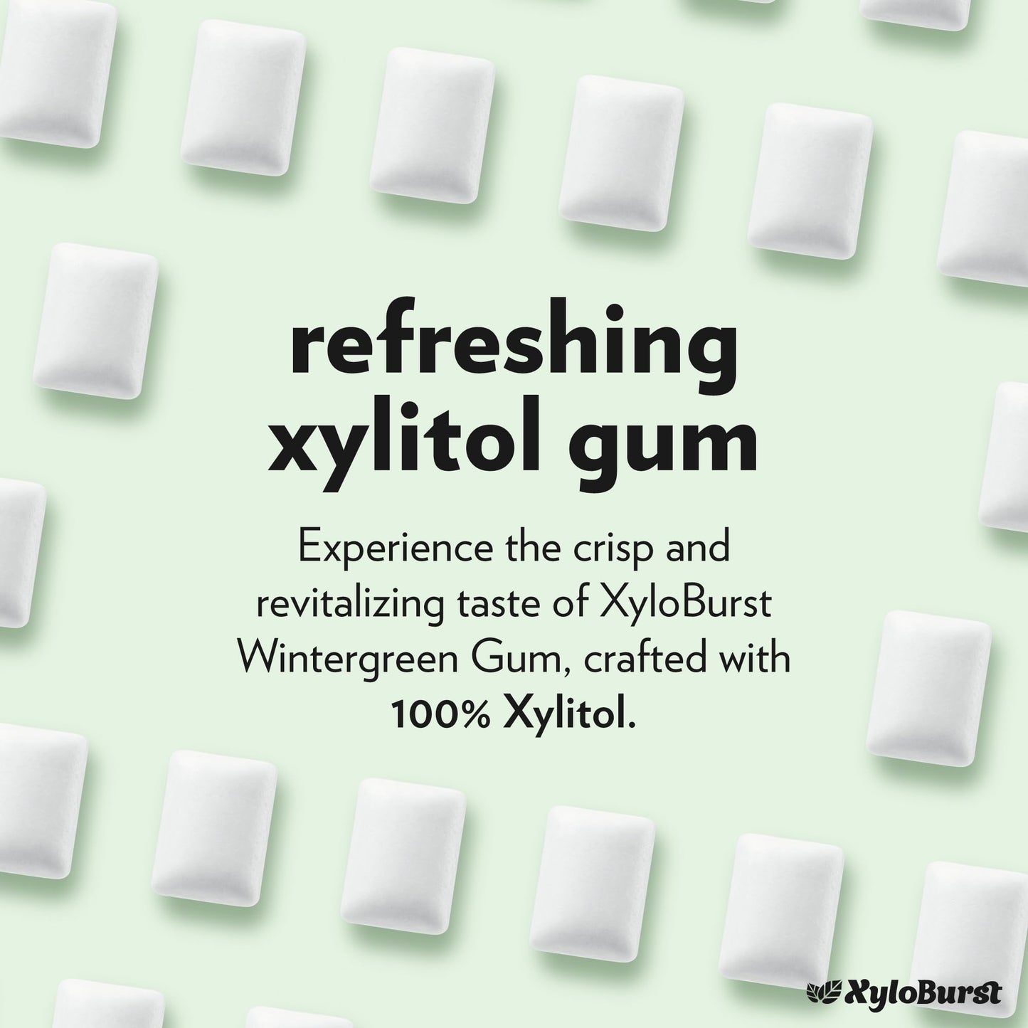 Xyloburst Xylitol Chewing Gum, Sugar Free, Gluten Free, Keto Friendly, 500-Count Bag